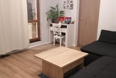 Apartament cu 2 camere semidecomandat în Olteni - 6