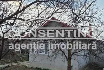 Casă cu 3 camere cu Teren 1439 Mp în Movila Banului - 8