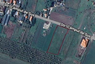 Teren de 2800 mp, în Jucu