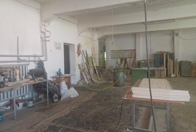 Spațiu industrial, de 1,200 mp, în Exterior Vest - 15