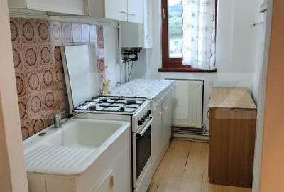 Apartament cu 2 camere decomandat, mobilat în Bejan - 5