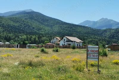 Teren de 1000 mp, în Sâmbăta de Sus - 1