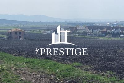 Teren agricol extravilan de 10000 mp, în Șura Mică - 8