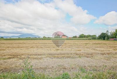 Teren de 800 mp, în Stupini