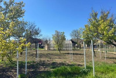 Casă cu 4 camere cu Teren 1536 Mp în Variaș - 14