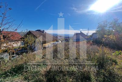 Teren Construcții intravilan de 500 mp, în Cetate - 3