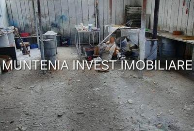 Spațiu comercial, de 672 mp, în Mărăcineni - 13