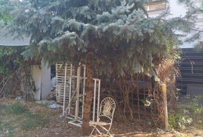 Teren intravilan în Pipera