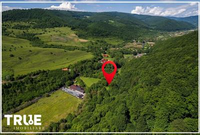 Teren Construcții intravilan de 2800 mp, în Câmpu Cetății - 18