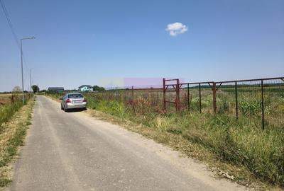 Teren Construcții intravilan de 582 mp, în Copăceni - 18