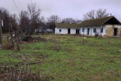 Teren de 8140 mp, în Băltenii de Jos - 4
