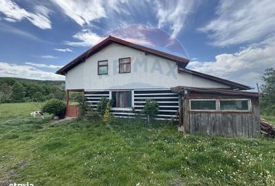 Casă cu 4 camere în Topa Mică - 7