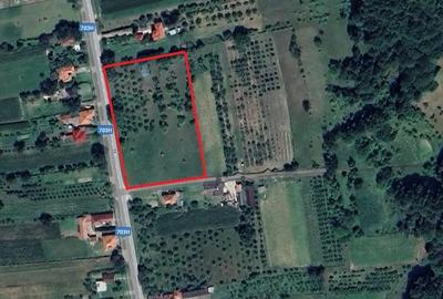 Teren de 6937 mp, în Sălătrucu - 5