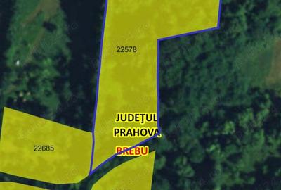 Teren de 6333 mp, în Brebu - 8