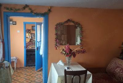Casă cu Teren 2600 Mp în Perieni