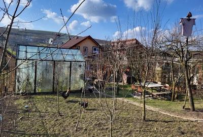 Casă cu 3 camere în Zau de Câmpie - 10