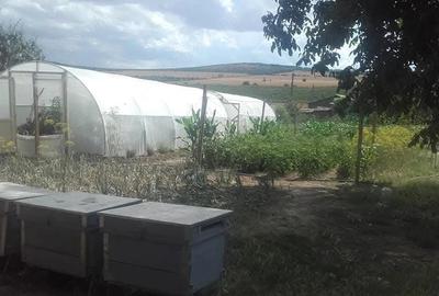 Casă cu Teren 2200 Mp în Crucea