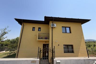 Casă cu 4 camere în Vișan - 2