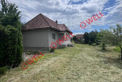 Teren intravilan de 10611 mp, în Brateș - 4