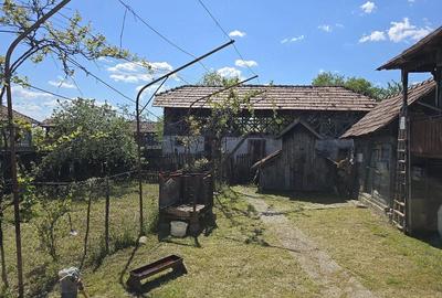 Casă cu Teren 8000 Mp în Dealu Mare (Galicea)