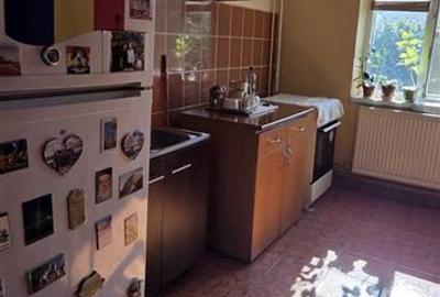 Apartament cu 3 camere decomandat, mobilat în Aradului - 10