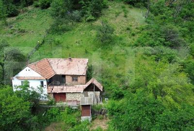 Casă cu Teren 1343 Mp în Căpâlna - 7