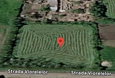 Teren de 2030 mp, în Ștefan Vodă
