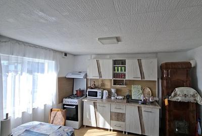 Casă cu 2 camere cu Teren 6243 Mp în Cuca