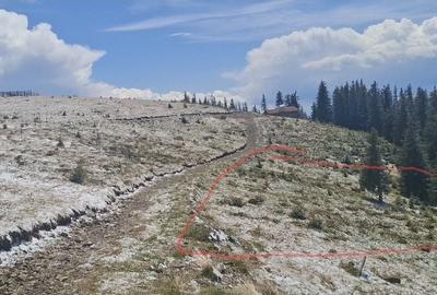 Teren de 2000 mp, în Marița - 3