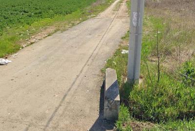 Teren de 20000 mp, în Giarmata - 2