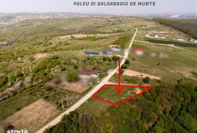 Teren de 534 mp, în Paleu - 2