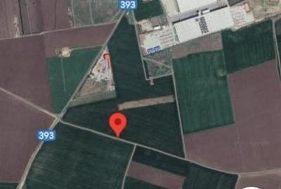 Teren Construcții extravilan de 10000 mp, în Techirghiol - 1