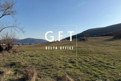 Teren în Viișoara - 3