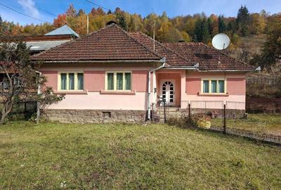 Casă cu 3 camere în Avram Iancu