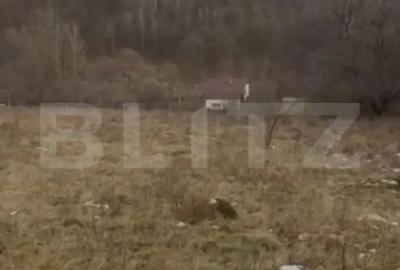 Teren de 3300 mp, în Sălicea - 3