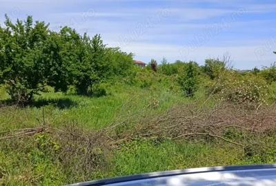 Teren de 5000 mp, în Tărtășești - 3
