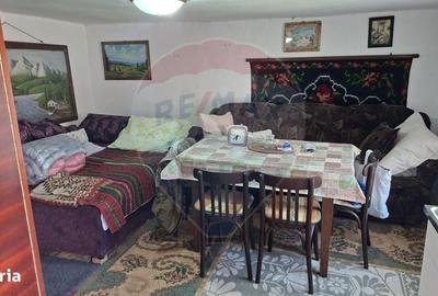 Casă cu 2 camere în Richiș - 16