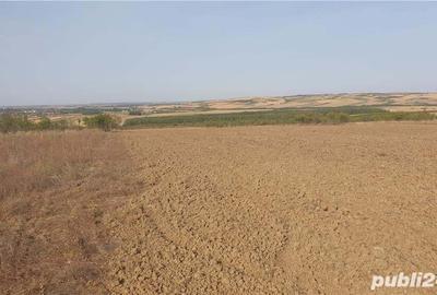 Teren de 10900 mp, în Oncea - 1
