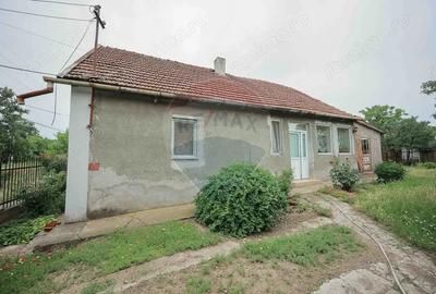 Casă cu 3 camere cu Teren 3205 Mp în Sânnicolau Român - 12