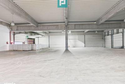 Spațiu comercial, de 3,835 mp, în Borș - 15