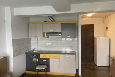 Garsonieră nedecomandată în Sub Arini - 2