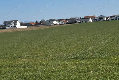 Teren de 4000 mp, în Mărtinești - 2