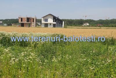 Teren Construcții intravilan de 500 mp, în Dumbrăveni - 7