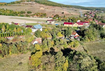 Teren Construcții intravilan de 2825 mp, în Vâlcele - 11