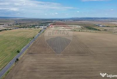 Teren de 27500 mp, în Tișița - 1
