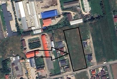 Teren Construcții intravilan de 5895 mp, în Hărman - 1