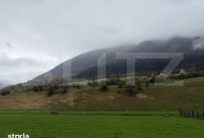 Teren de 1240 mp, în Plaiul Foii - 1