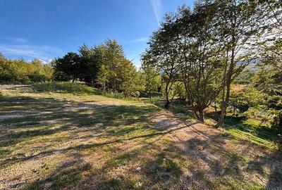 Teren de 1000 mp, în Făget