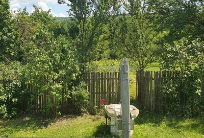Casă cu 5 camere cu Teren 3000 Mp în Butoiești - 5