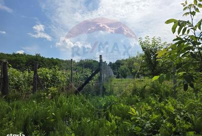 Casă cu 4 camere în Buciumi